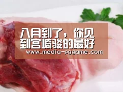 八月到了,你见到宫崎骏的最好时机也到了‘pg电子模拟器’(图4) pg游戏