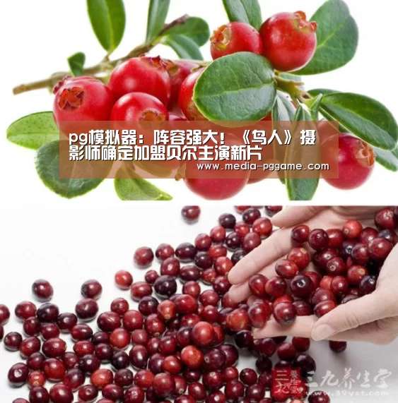 pg模拟器:阵容强大!《鸟人》摄影师确定加盟贝尔主演新片(图1) pg游戏