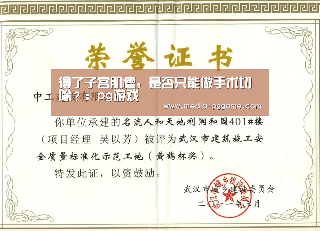 pg模拟器