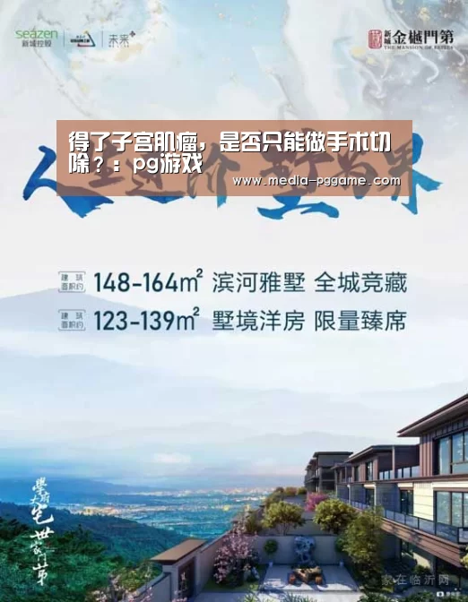 pg电子模拟器