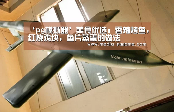 ‘pg模拟器’美食优选：香辣烤鱼，红烧鸡块，鱼片蒸蛋的做法