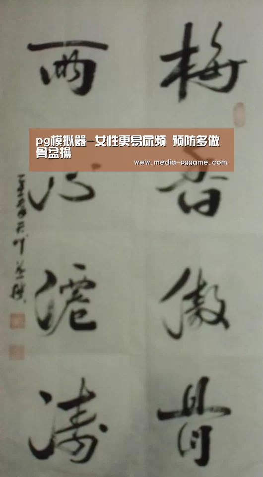 pg模拟器